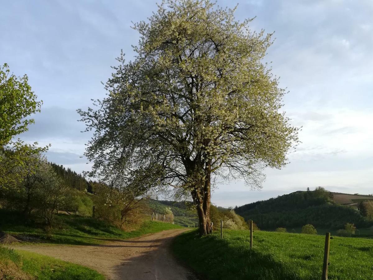 Bauernhofpension Wiebelhaus-Mester Lennestadt Eksteriør billede