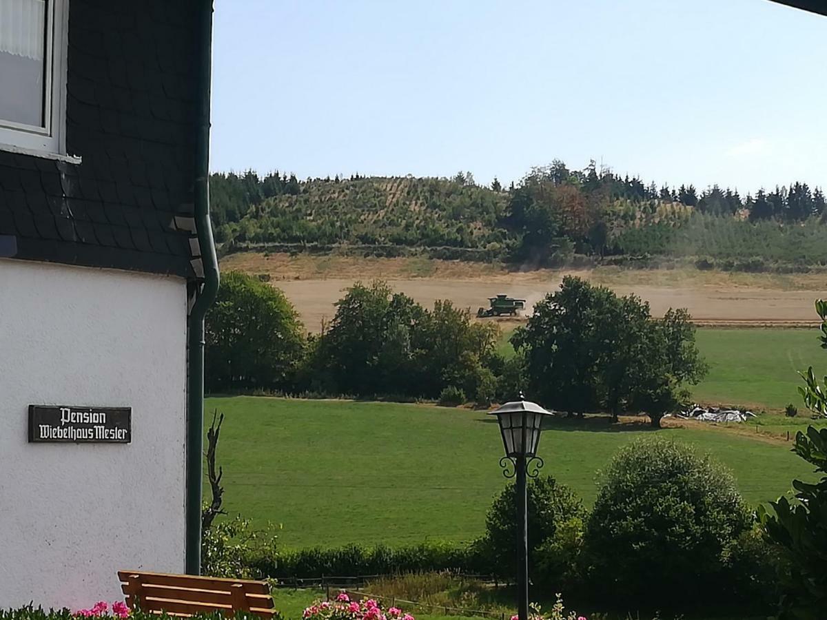 Bauernhofpension Wiebelhaus-Mester Lennestadt Eksteriør billede